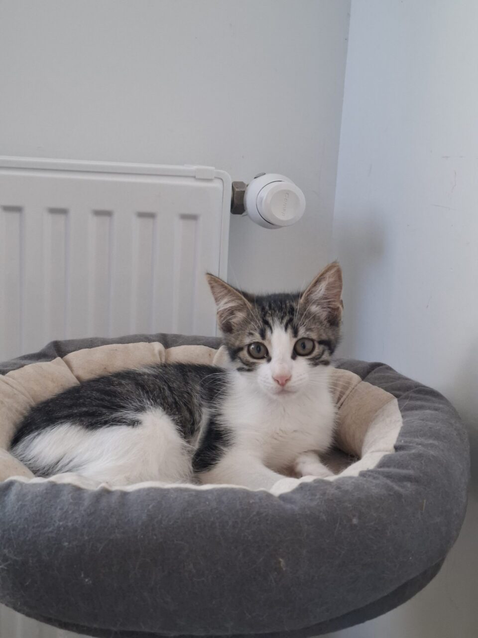 Ginny_3 Ginny