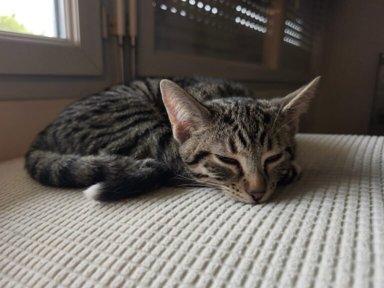 Photo de Bouilloux